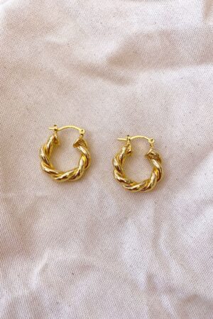 Brinco Argola Torcida